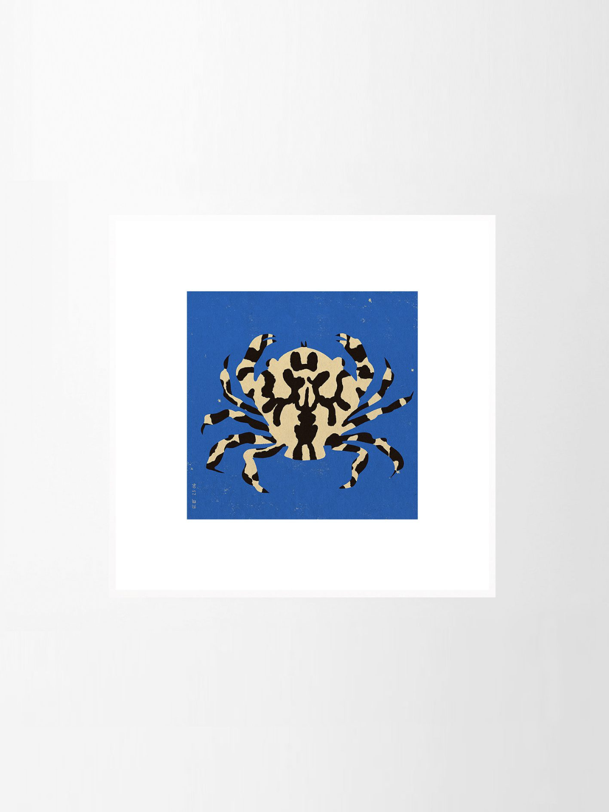 Calico Crab