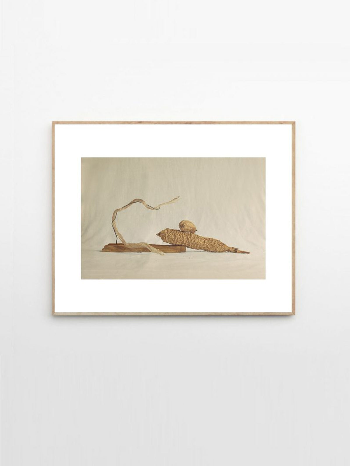 Zambesi River Framed Print