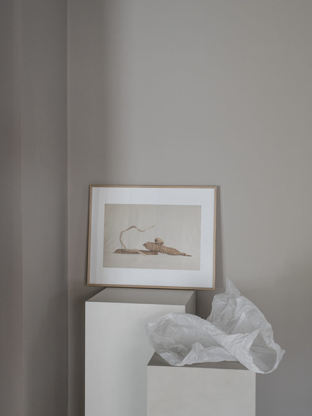 Zambesi River Framed Print
