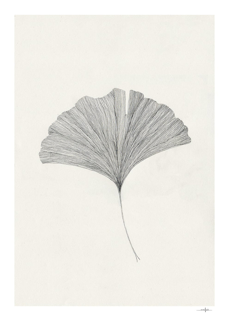 Ginkgo Leaf Print - 300mm x 400mm