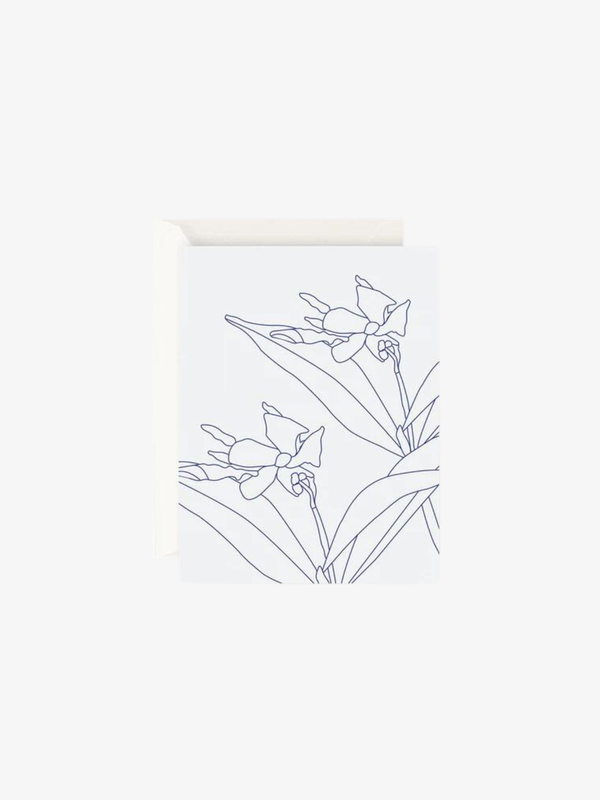Father Rabbit Stationery | Card | Blue Jasmine