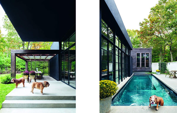 Resident Dog: Incredible Dogs and the International Homes They Live In