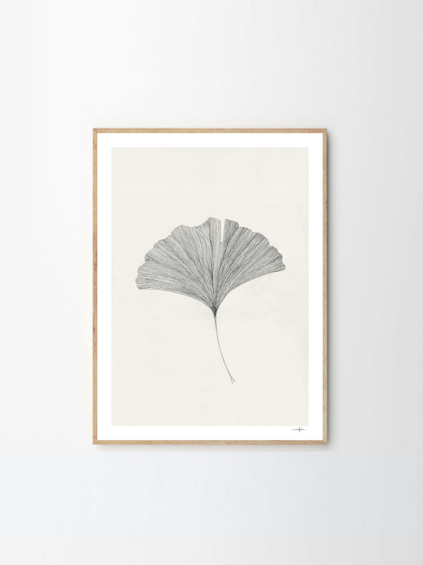 Ginkgo Leaf Print - 300mm x 400mm